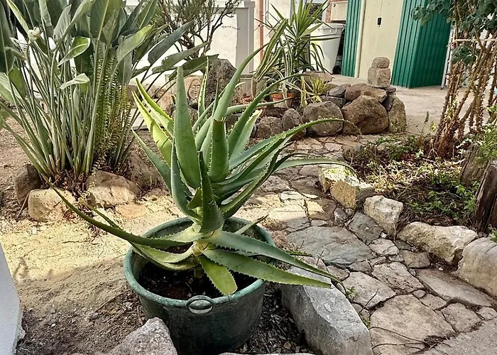 Casa Rosmarino Apartamento