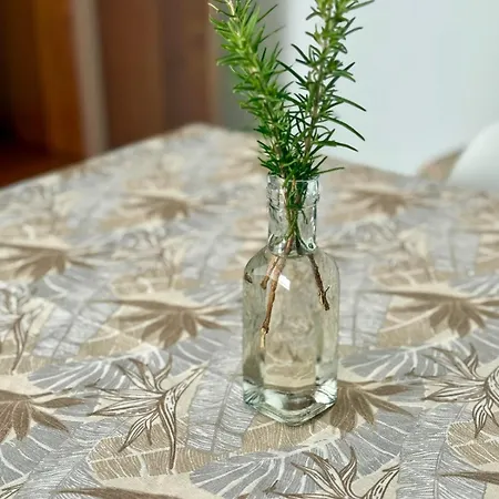 Casa Rosmarino アパート カルボーニア