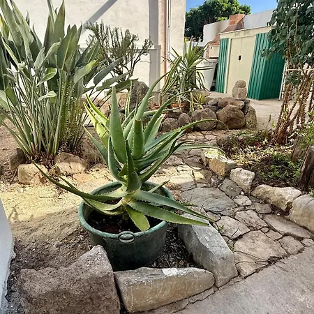 Casa Rosmarino アパート
